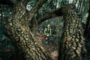 BIB: 
                            <button type="button" onclick="openModal(25392495)" class="btn btn-primary btn-sm float-right btn-popup" data-toggle="modal" data-target=".modal-high-quality">
                        <i class="fas fa-shopping-cart"></i> Add to Cart
                    </button>
                                            <button type="button" onclick="isThisMe(25392495, true)" class="btn btn-success btn-sm float-right btn-popup btn-isme hidden" data-toggle="tooltip" data-placement="bottom" title="นี่คือรูปของคุณใช่ไหม คลิกที่นี่เพื่อเอาเข้าอัลบั้ม">
                        <i class="fas fa-plus"></i> Add to album
                    </button>
                    <button type="button" onclick="isThisMe(25392495, false)" class="btn btn-warning btn-sm float-right btn-popup btn-isnotme hidden">
                        <i class="fas fa-ban"></i> Remove from album
                    </button>